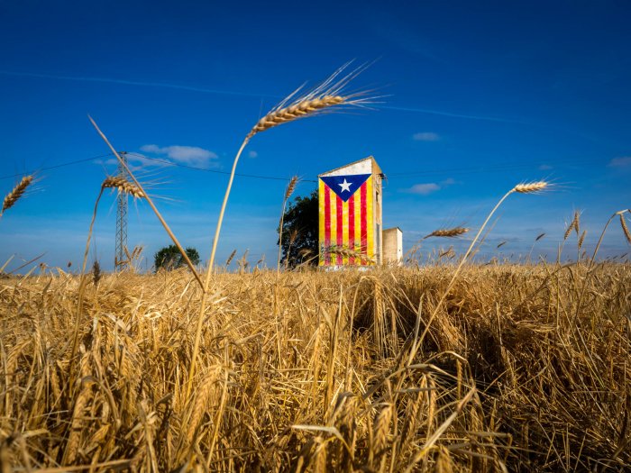 Paisajes evanescentes, la revolución del amarillo